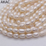 Natural Freshwater Rice Pearl Loose Beads 5*7mm 46-48 Beads/Set