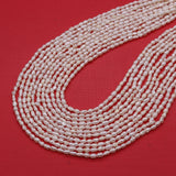 2-3mm Natural Freshwater Pearl Rice Shape Pearl A for DIY Jewelry