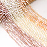 Natural Freshwater Pearl Light Beads - Jewelry Making