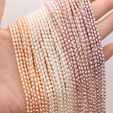 Natural Freshwater Pearl Light Beads - Jewelry Making