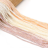 2.5-3mm Small Pearl Beads Natural Freshwater Rice Shape Loose Beads DIY Jewelry