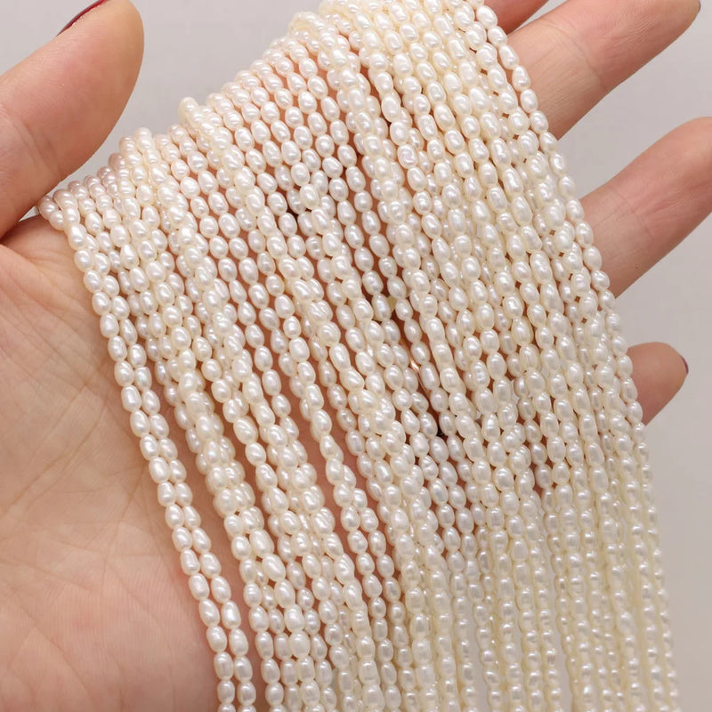 2.5-3mm Small Pearl Beads Natural Freshwater Rice Shape Loose Beads DIY Jewelry