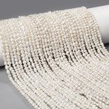 2-5MM Small Freshwater Pearl Beaded Mix Shapes Loose Pearls for Jewelry