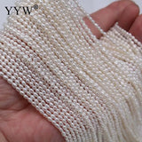2.5mm Round Pearl Beads Pink/Purple/White for DIY Jewelry