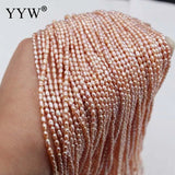 2.5mm Round Pearl Beads Pink/Purple/White for DIY Jewelry