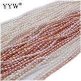 2.5mm Round Pearl Beads Pink/Purple/White for DIY Jewelry