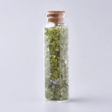 Mixed Mini Wishing Glass Bottle Pendant with Gemstone Chip Stone Beads
