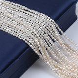2.8-3mm Freshwater Pearl Potato Round Natural Pearl Beads