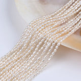 2.8-3mm Freshwater Pearl Potato Round Natural Pearl Beads