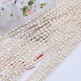 2.8-3mm Freshwater Pearl Strand for Jewelry Making