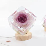 2-Pack Square Silicone Molds with Wooden Stand
