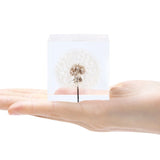 2 Pcs Crystal Epoxy Filler Dandelion Dry Flower Resin Mold