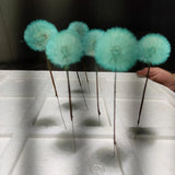 2 Pcs Crystal Epoxy Filler Dandelion Dry Flower Resin Mold