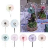 2 Pcs Crystal Epoxy Filler Dandelion Dry Flower Resin Mold