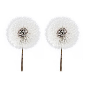 2 Pcs Crystal Epoxy Filler Dandelion Dry Flower Resin Mold