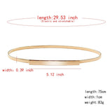 2 Piece Women's Silver Spring Waist Chain Elastic Belt