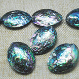 Abalone Shell Egg DIY Beads 35-45mm for Beach Tourism