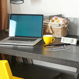 Acrylic Pen Holder Display Stand, Brush Organizer