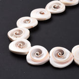 Natural Heart Spiral Shell Beads Strand for Jewelry Making
