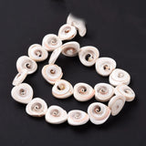 Natural Heart Spiral Shell Beads Strand for Jewelry Making
