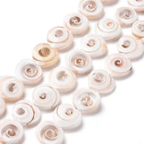 Natural Heart Spiral Shell Beads Strand for Jewelry Making