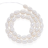 2 Strands Freshwater Pearl Beads for Jewelry Making DIY Necklace Bracelet