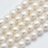2 Strands Freshwater Pearl Beads Oval Shapes 6.5~7x5.5~6mm