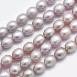 2 Strands Freshwater Pearl Beads Oval Shapes 6.5~7x5.5~6mm
