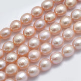 2 Strands Freshwater Pearl Beads Oval Shapes 6.5~7x5.5~6mm