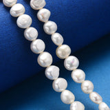 2 Strands Freshwater Pearl Beads for Jewelry Making