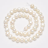 2 Strands Freshwater Pearl Beads for Jewelry Making