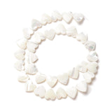 Natural Trochus Shell Beads Peach Heart Shape for DIY Jewelry Making
