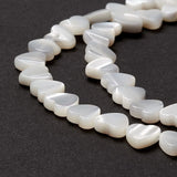 Natural Trochus Shell Beads Peach Heart Shape for DIY Jewelry Making