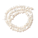 Natural Trochus Shell Beads Peach Heart Shape for DIY Jewelry Making