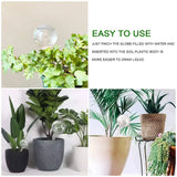 20 Pcs Watering Clear Globes Automatic Watering Device for Houseplants