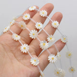 20 Natural Conch Shell Sun Flower Beads for DIY Jewelry Making