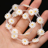 20 Natural Conch Shell Sun Flower Beads for DIY Jewelry Making