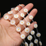 20 Natural Conch Shell Sun Flower Beads for DIY Jewelry Making