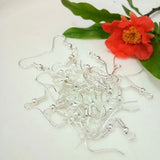 2000pcs Earring Hooks Earwire Clasp DIY Jewelry