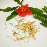 2000pcs Earring Hooks Earwire Clasp DIY Jewelry