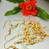 2000pcs Earring Hooks Earwire Clasp DIY Jewelry