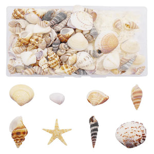 200PCS Natural Shell Conch Starfish Charms Micro Landscape Ornament DIY Jewelry