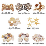 200PCS Natural Shell Conch Starfish Charms Micro Landscape Ornament DIY Jewelry