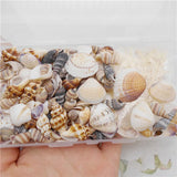 200PCS Natural Shell Conch Starfish Charms Micro Landscape Ornament DIY Jewelry
