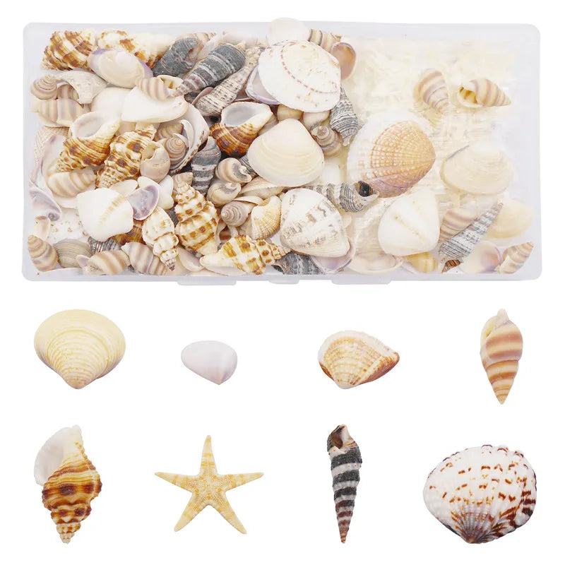 200PCS Natural Shell Conch Starfish Charms Micro Landscape Ornament DIY Jewelry