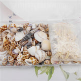 200PCS Natural Shell Conch Starfish Charms Micro Landscape Ornament DIY Jewelry