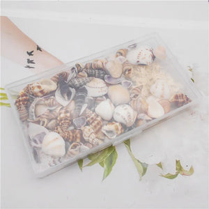 200PCS Natural Shell Conch Starfish Charms Micro Landscape Ornament DIY Jewelry