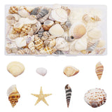 200PCS Natural Shell Conch Starfish Charms Micro Landscape Ornament DIY Jewelry