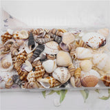 200PCS Natural Shell Conch Starfish Charms Micro Landscape Ornament DIY Jewelry