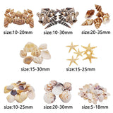 200PCS Natural Shell Conch Starfish Charms For Decoration DIY Jewelry